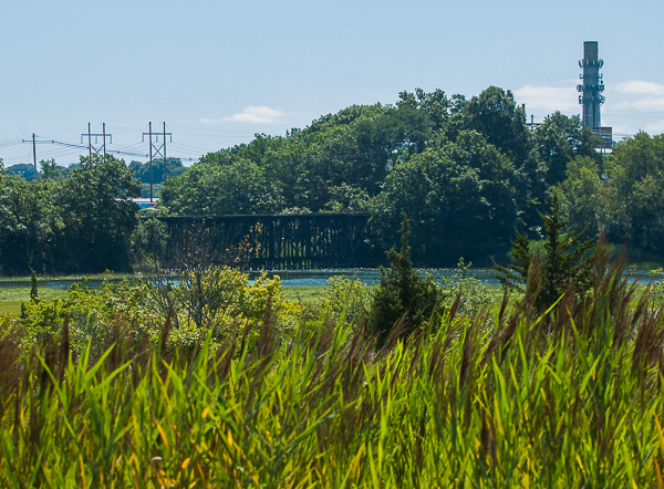 View over wetlands, Waters River, from MGH Danvers