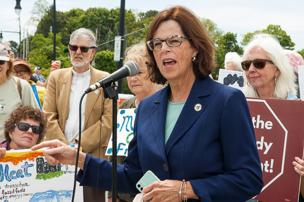 Representative Sally Kerans addresses demonstrators