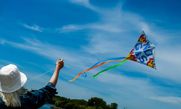 Person flying kite over the Waters River