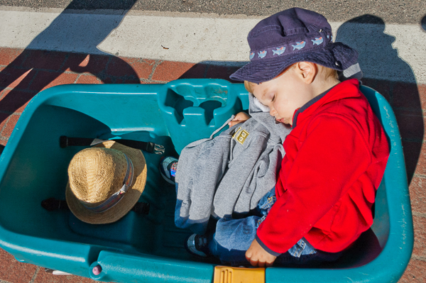 Child asleep in wagon at international festival