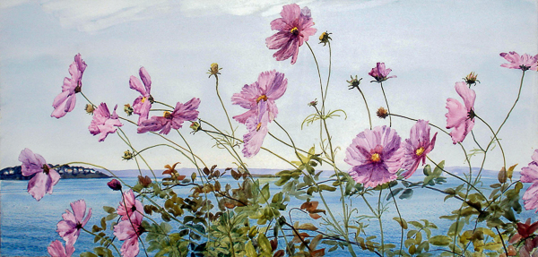 Cosmos on the Bay, by Judeth Van Hamm